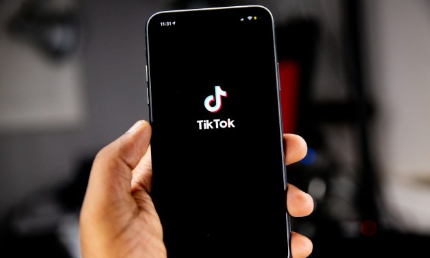 TikTok partners with NGOs across Saudi Arabia, UAE and Egypt